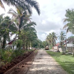 Puluhan Tahun Tampa Perhatian , Akhirnya Jalan Pasar Ipuh-Tanjung Harapan Tersentuh Pembangunan