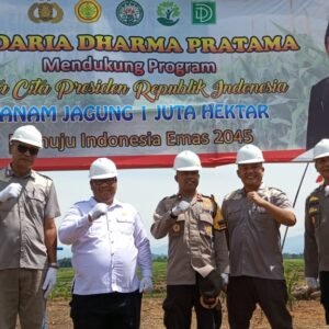 PT DDP Gelar Penanaman Jagung,Dukung Program Asta Cita Presiden Prabowo