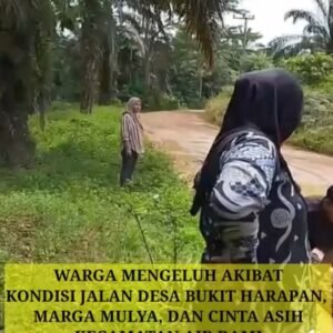 Warga Desa Bukit Harapan Keluhkan Jalan Rusak, Minta Perhatian Serius dari Pemerintah Daerah