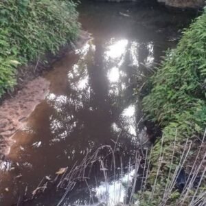 Limbah Kembali Cemari Sungai, Kali Ini Sungai Kulai Desa Tanjung Medan Terimbas