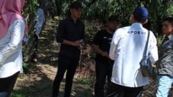 Fajar Assegaf Tinjau Lokasi Pembangunan Jalan Usaha Tani di Pasar Ipuh dan Tanjung Harapan