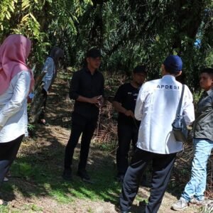 Fajar Assegaf Tinjau Lokasi Pembangunan Jalan Usaha Tani di Pasar Ipuh dan Tanjung Harapan