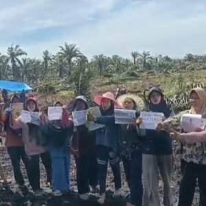 Tak Kunjung Direspons Pemda, Ibu-Ibu di Rawa Mulya Turun Tangan Lindungi Tanah Bersertifikat