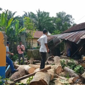 Diterpa Angin Badai, Dua Rumah Warga Desa Marga Mulia Rusak Tertimpa Pohon Tumbang