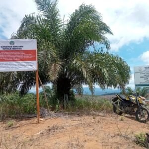 Kades Talang Baru Sampaikan Surat Terbuka kepada Presiden Terkait Status Tanah Kesum Petay di Kawasan HPT