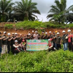 Dukung Kelestarian Alam, PT Daria Dharma Pratama Lakukan Reboisasi di Area Operasional