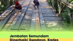 Jembatan Semundam Diperbaiki Swadaya, Kades Mundam Marap Apresiasi Kepedulian Roni Pasla