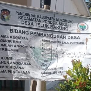 Minim Transparansi, Pembangunan Posyandu Teluk Bakung Tuai Dugaan Penyimpangan