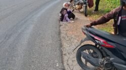 Jalan Bersimbah Minyak CPO di Air Buluh, Pengendara Berjatuhan, Warga Minta Aparat Bertindak
