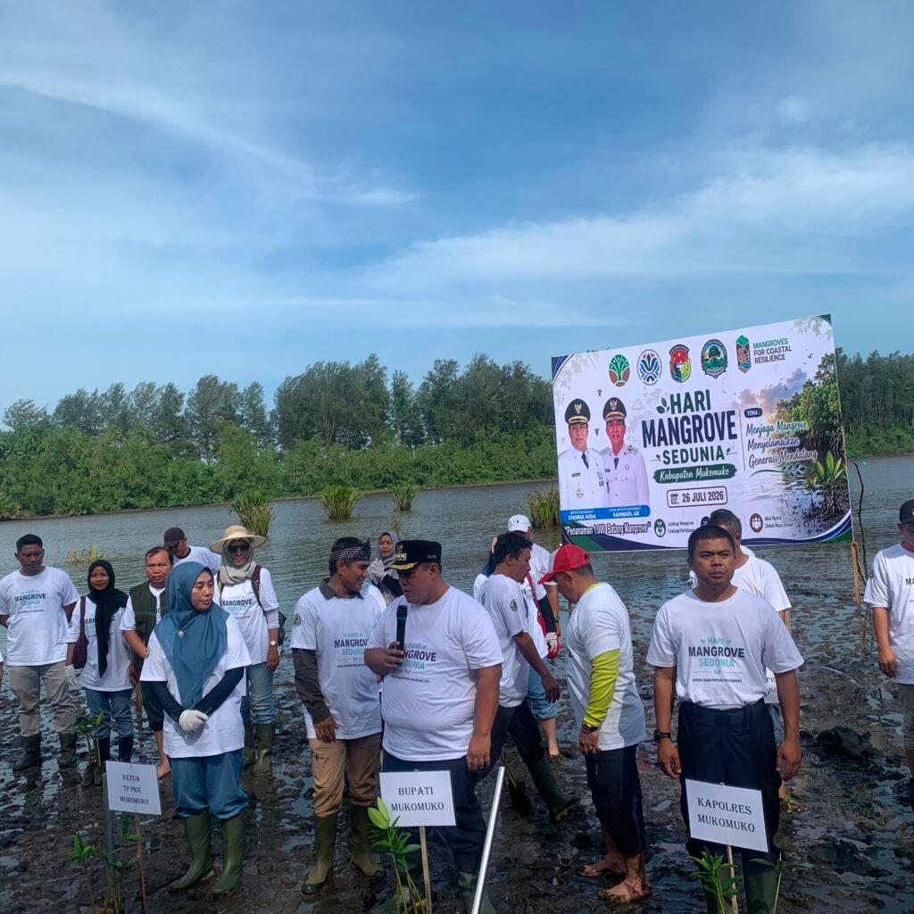 Peringati Hari Mangrove Sedunia, KKMD Mukomuko Tanam 1.000 Bibit di Kawasan Pesisir